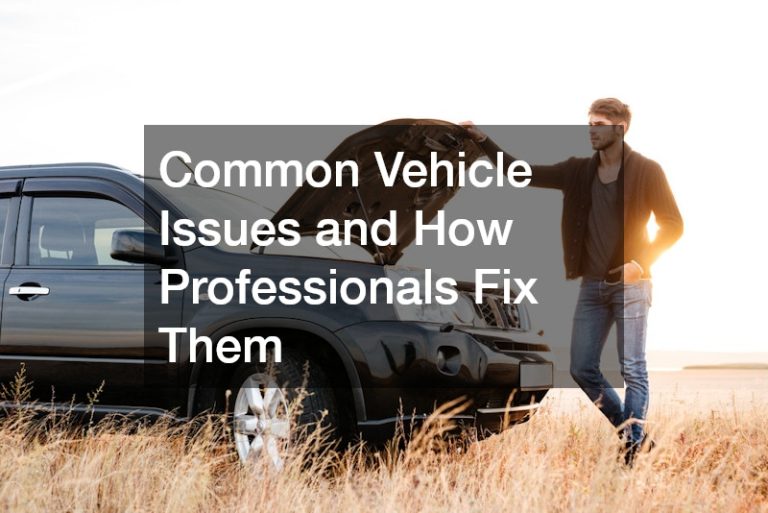 Common Vehicle Issues and How Professionals Fix Them